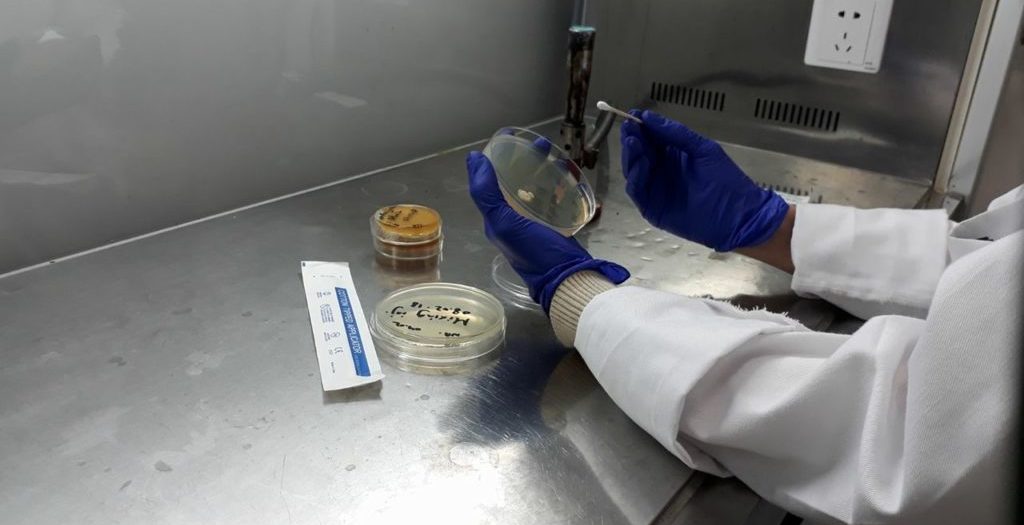  Animal health experts