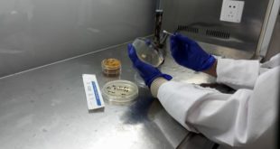 Animal health experts